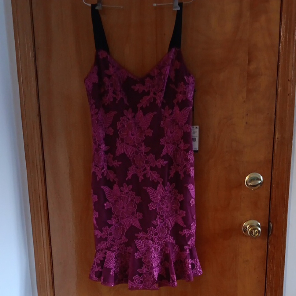 Adrianna Papell Magwnta Sequin Embroidery Dress Size 6 NWT